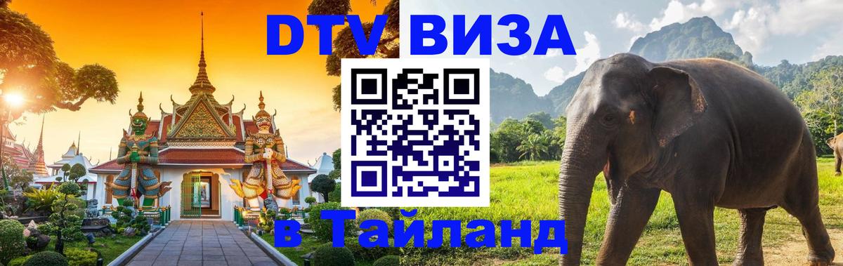 Сколько стоит DTV виза — актуальные цены, оформление даже без документов - 04.10.2025 